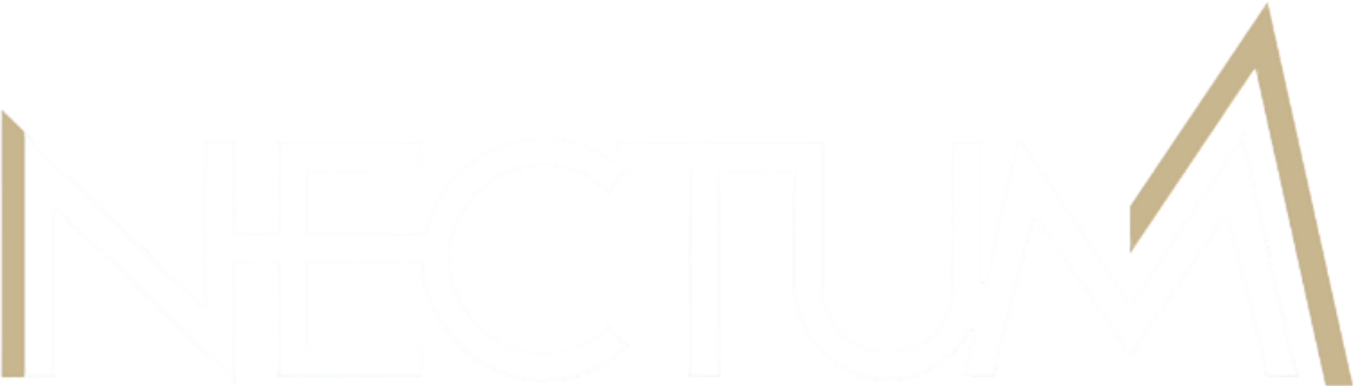 Nectum | Desenvolvimento Humano, Liderança e Estratégia para Empresas